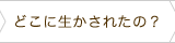 どこに生かされたの？